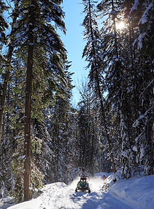 Golden, BC snowmobiling, Westbench Trail