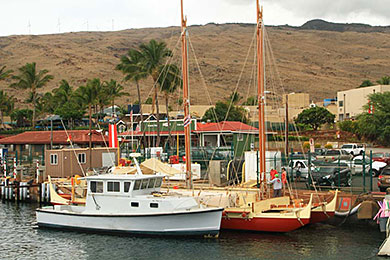 Maui Maalaea Harbor