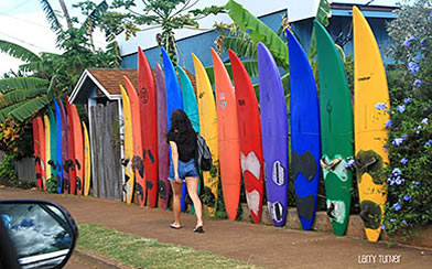Maui surf shop