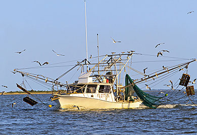 Florida Shrimp boat