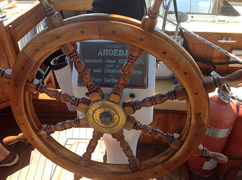 The Amoeba schooner wheel