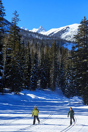 Bolden, BC cross country skiing