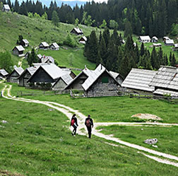 Slovenia Klek pasture