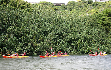 Wailua River kayakers