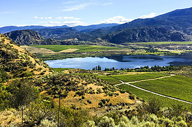 Okanagan landscape