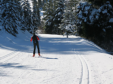 Bogus nordic skiing downhill