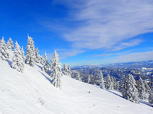 Bogus Basin treed ski slope