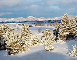 Amtrak winter view