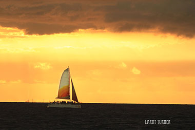 Sails in the sunset