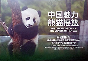 Panda sign