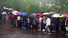 Panda tourists waiting in the rain