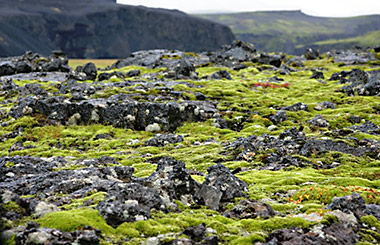 Emstrur lava field Iceland