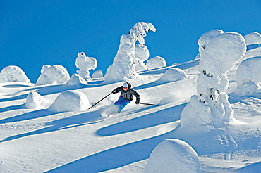 Big White skiing the snow ghost trees