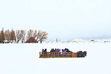 McCall, Idaho elk sleigh