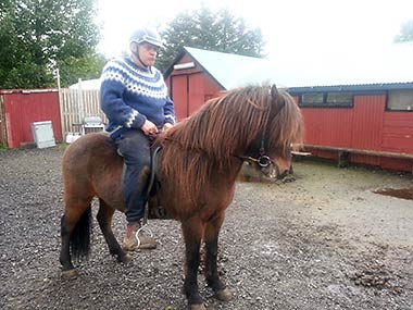 Man on Icelandic horse