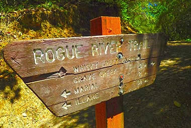 Rogue trail marker