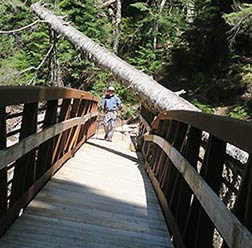 North Umpqua Trail bridge