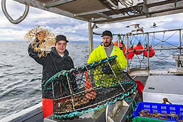 Prawn basket