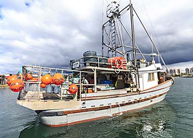 Nordic Rand, prawn fishing boat