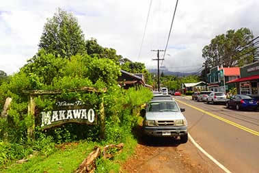 Road to Makawao