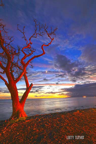 West Maui sunset and moonrise