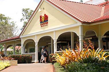 Oahu Dole Plantation