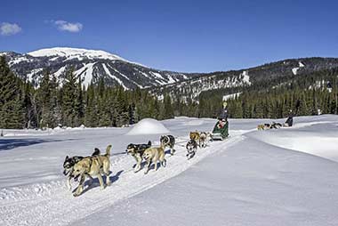 Sun Peaks dog sled tour
