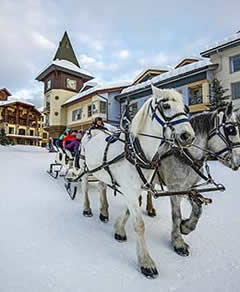 Sun Peaks horse-drawn sleigh ride