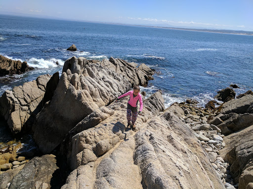 Erysse Elliott on Monterey, CA rocks