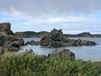 Newfoundland, Twillingate scenic