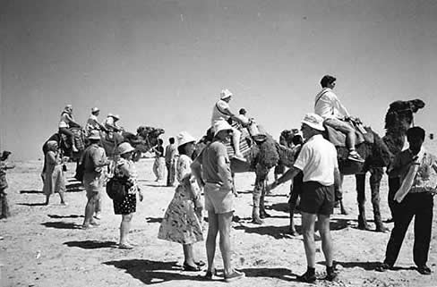 Tunisia, Zaafrane tourists renting camels