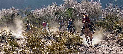 White Stallion Ranch fast ride