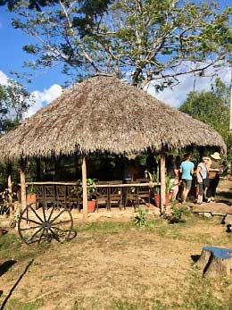 A thatched roof protects a sugar mill's press