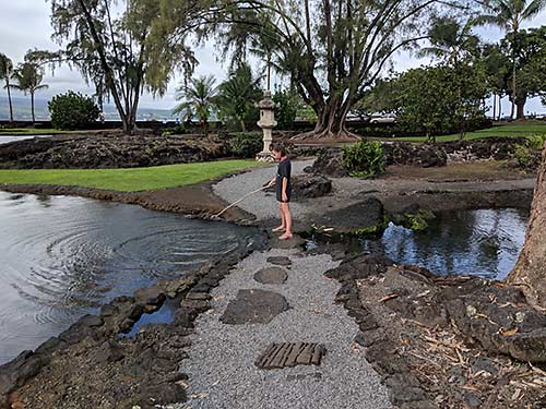 Erysse in Liliʻuokalani Park and Gardens in Hilo