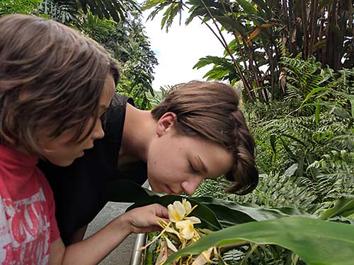 Smelling a Hawaii orchid