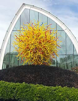Chihuly glass Seattle Center