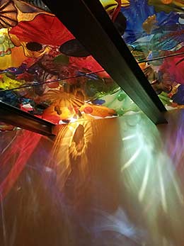 Chihuly Persian