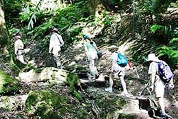 Guatemala, Ceibal path to site