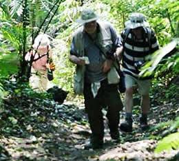 Guatemala, Piedras Negras access trail