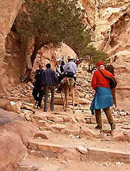 Climbing to the Petra monastery