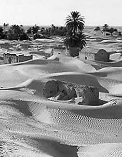 Sahara Douz sandscape