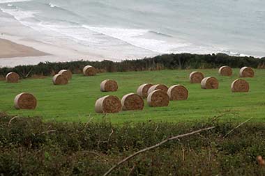 Hayfields on the Pembrokeshire St. David's Peninsula