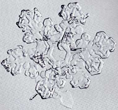 Snowflake from Edward R. LaChapelle’s “Field Guide to Snow Crystals”