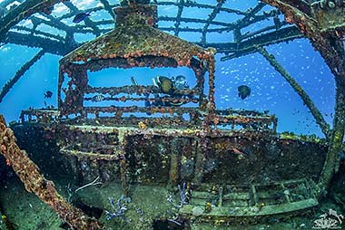 Looking out from inside the Bajan Queen wreck. Photo by Andrew Western.