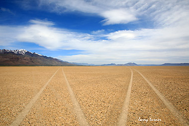 Alvord Desert tracks