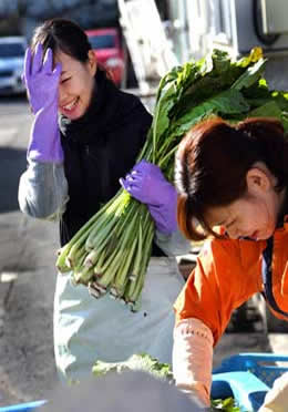 Women prepare greens for miso-inspired foods at the Takamura Miso Brewery in Nagano.
