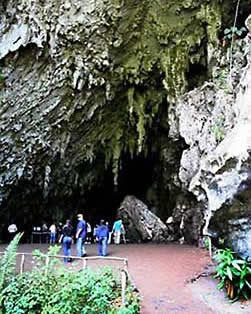 Venezuela, Guacharo Cave entrance