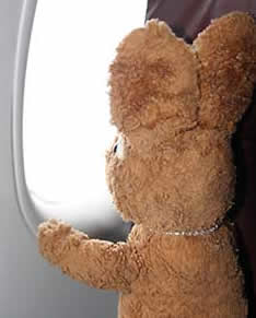 Rabbit doll looking out airplane window