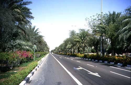 Abu Dhabi Liwa entering Madinat Zayed