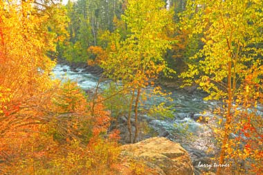 Montana stream